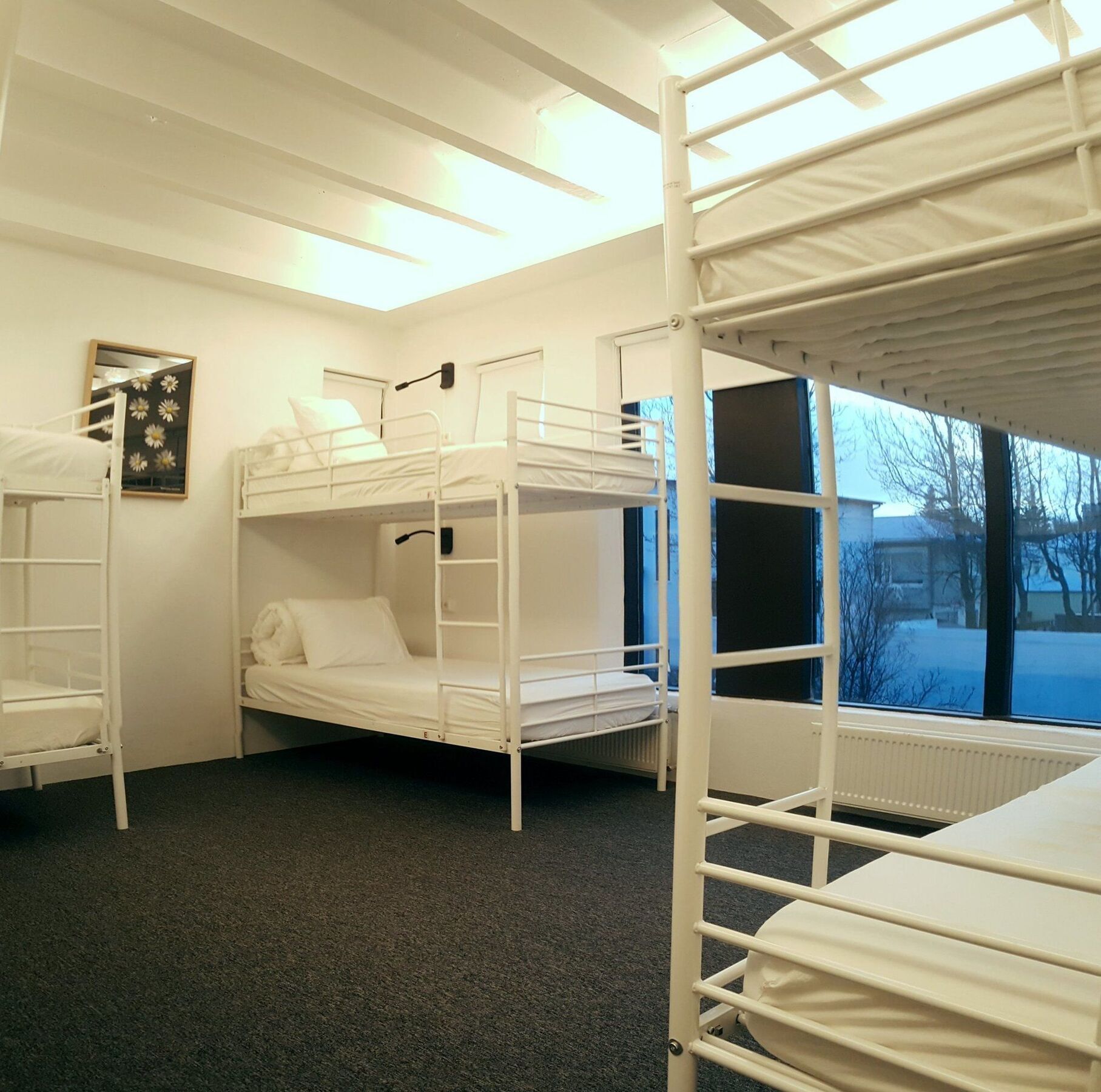 רייקיאוויק Laekur Hostel מראה חיצוני תמונה